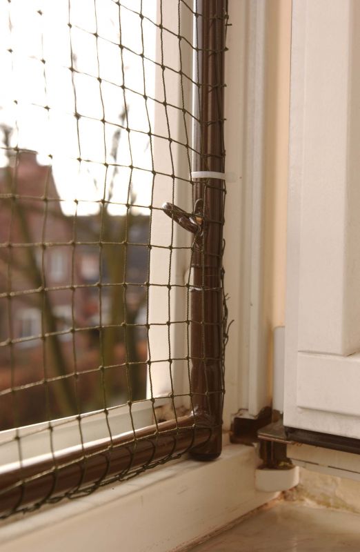 fensterrahmen-braun-katzennetz