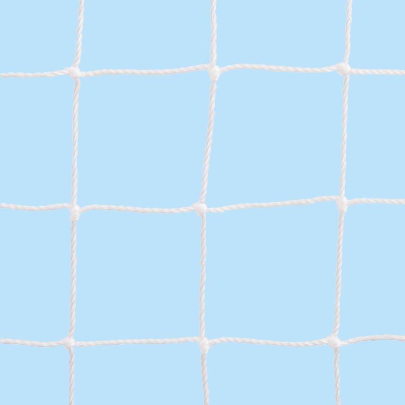 Cat Net- Robust