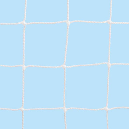 Cat Net- Robust