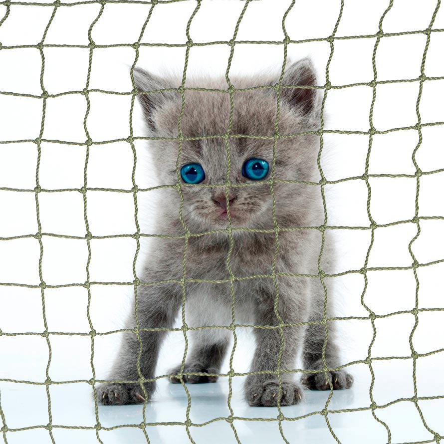 Boy-Katzennetz - Robust - 30mm Maschenweite - olivgrün - 1.3mm Garnstärke Boy-Katzennetz - Robust - 30mm Maschenweite - olivgrün - 1.3mm Garnstärke