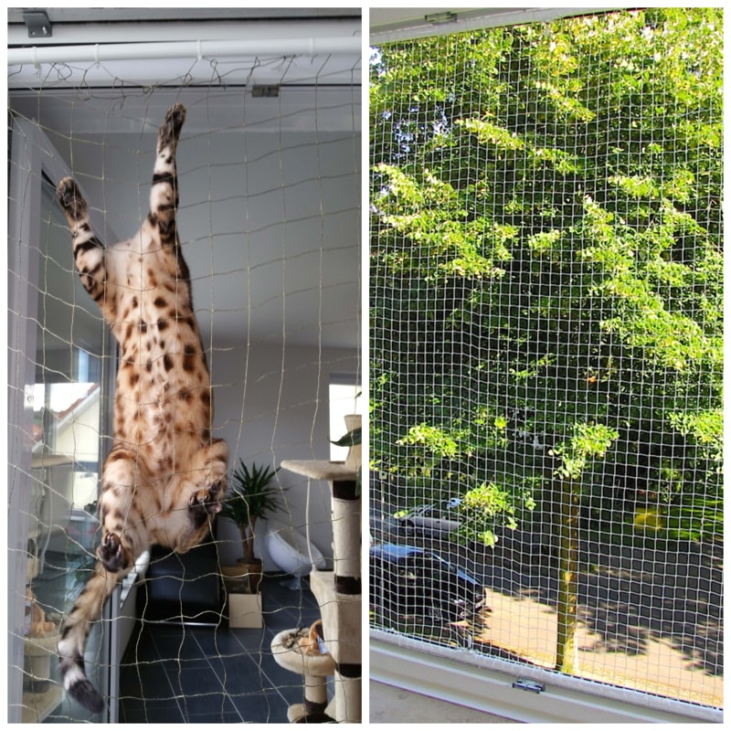 Fenster-Netzrahmen katzensicher montiert am Fenster