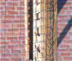 Terassensicherung_8 Terrassensicherung - Boy-Katzennetze