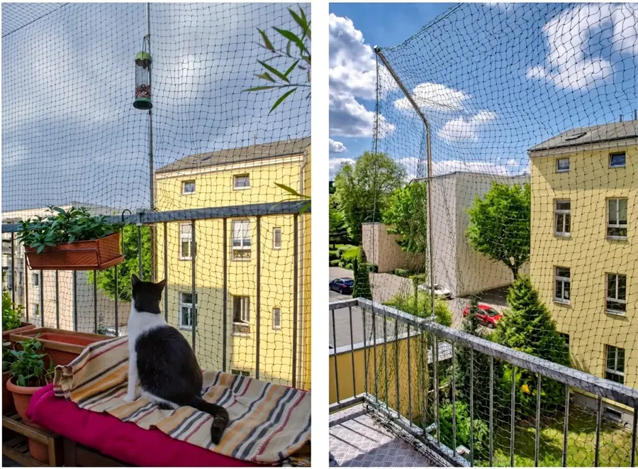 Freistehenden Balkon mit BOY-Katzennetz ohne Bohren katzensicher machen
