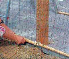Terassensicherung_4 Terrassensicherung - Boy-Katzennetze