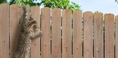 Garten katzensicher machen Montage Tipps BOY